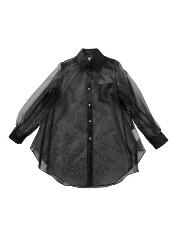 semi-sheer shirt