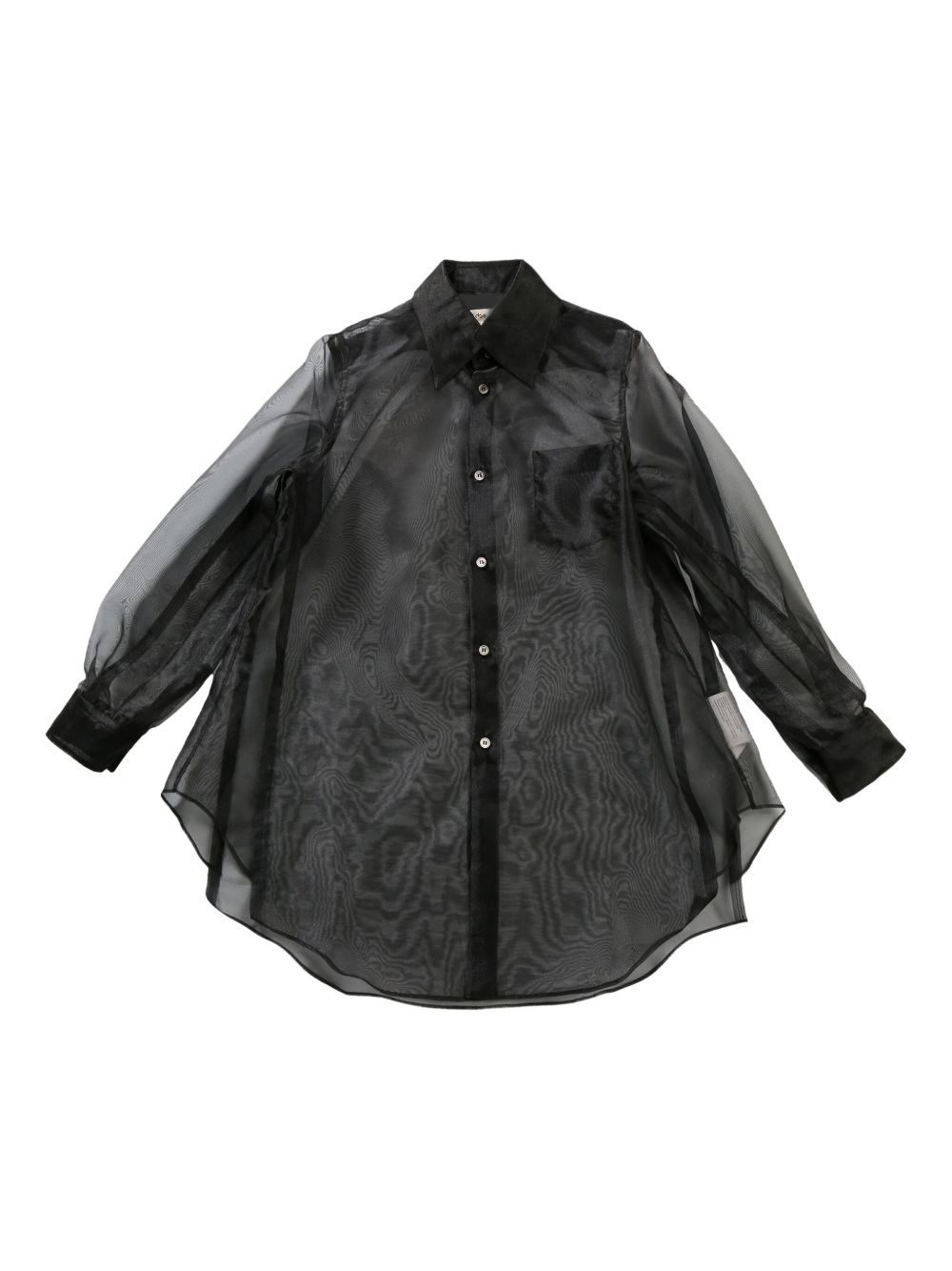 semi-sheer shirt