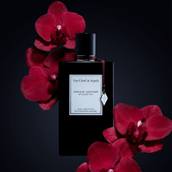 ⁦عطر اوركيد ليذر من فان كليف اند اربلز - او دي برفيوم⁩ - الصورة ⁦3⁩