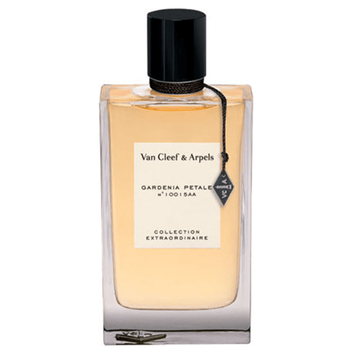 عطر جاردينيا بيتال من فان كليف اند اربلز للنساء – او دي بارفيوم