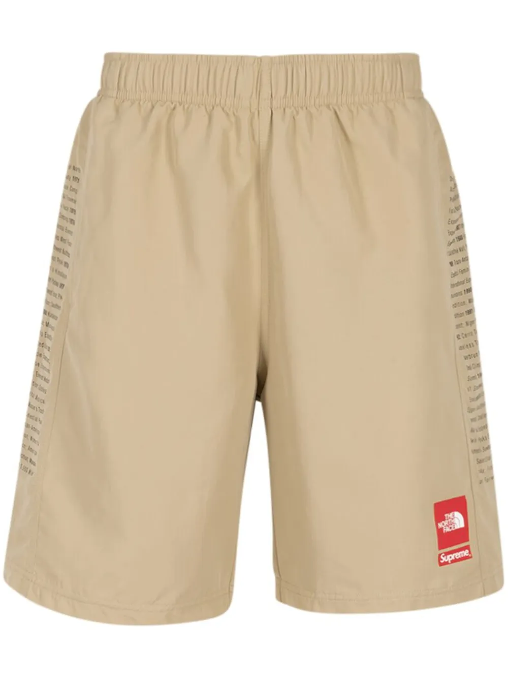 شورت برمودا x The North Face
